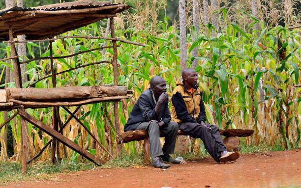 Two men sitting on a wooden bench outdoors next to a rustic wooden structure with a maize field in the background.